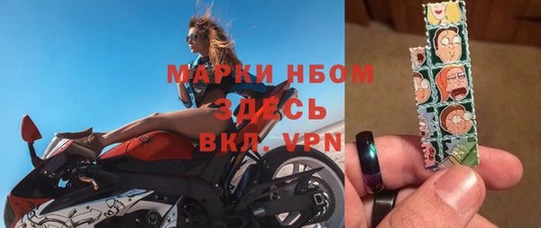 прущие грибы Гусь-Хрустальный