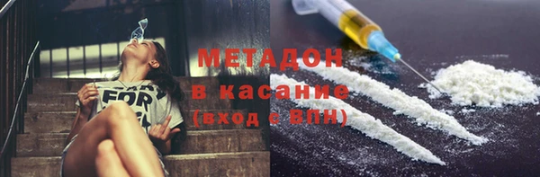 прущие грибы Гусь-Хрустальный