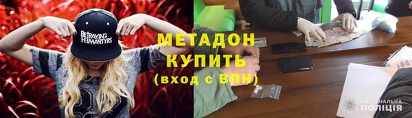 прущие грибы Гусь-Хрустальный