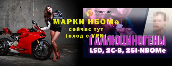 прущие грибы Гусь-Хрустальный