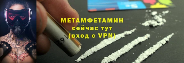 прущие грибы Гусь-Хрустальный