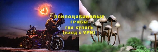синтетический гашиш Гусиноозёрск