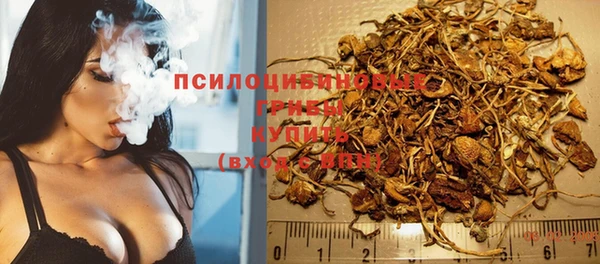 mdpv Гусев