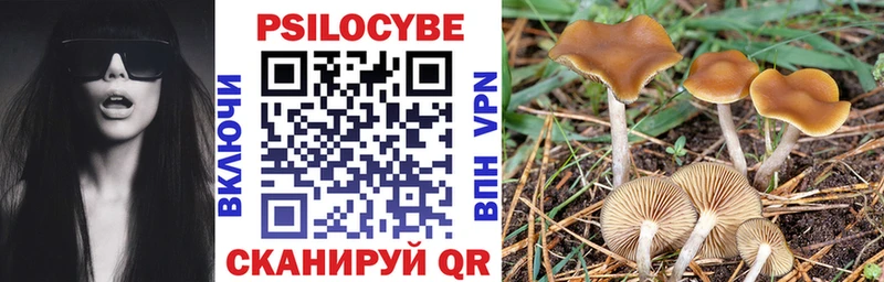 Псилоцибиновые грибы GOLDEN TEACHER  Купить где  Артём 
